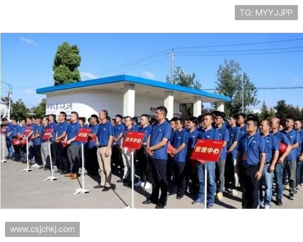 深度对话：杨丽在网球场上的奋斗与成长之路