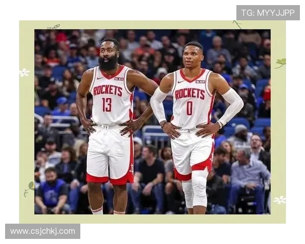 NBA神秘人对决王牌球队揭示篮球场上的隐秘较量与荣耀之路